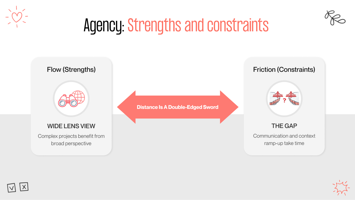 agency strengths and constraints