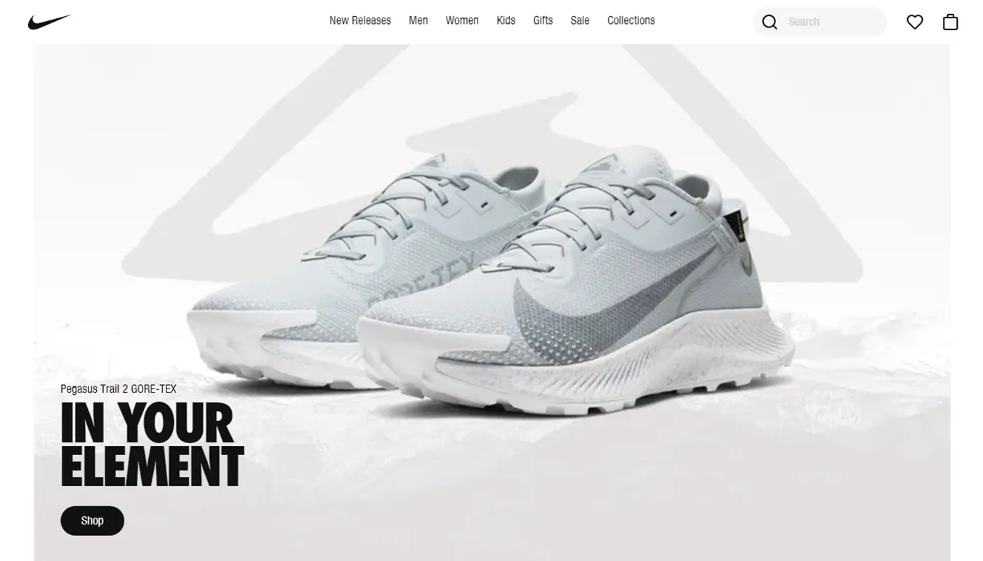 hero image web design examples using a product picture